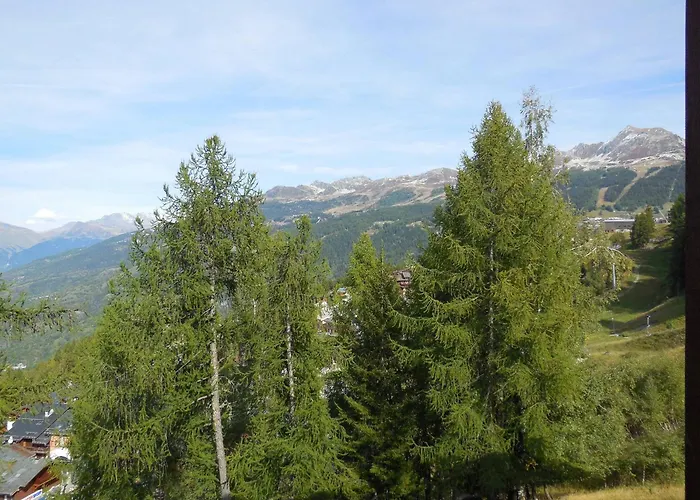 Divisible Pour 4 Pers. A La Plagne, Animaux Acceptes - Fr-1-353-74 *