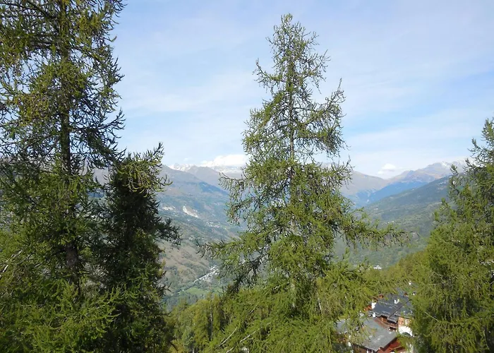 Divisible Pour 4 Pers. A La Plagne, Animaux Acceptes - Fr-1-353-74 Apartman *