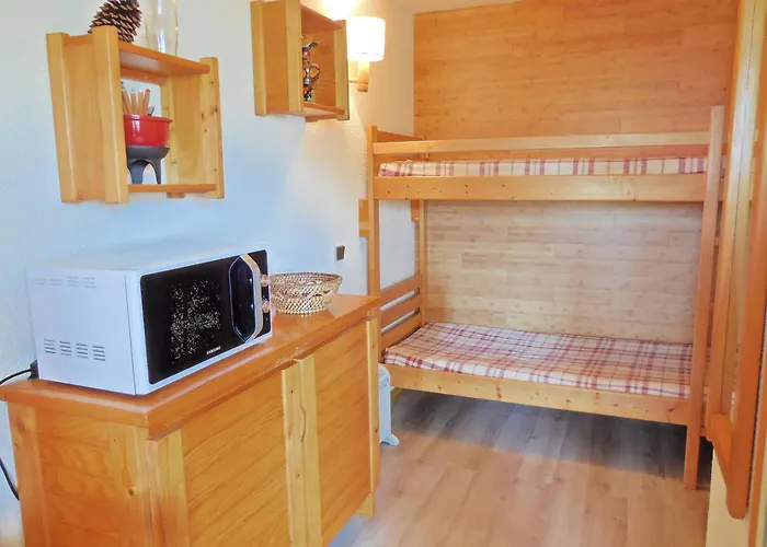 Divisible Pour 4 Pers. A La Plagne, Animaux Acceptes - Fr-1-353-74 Apartman La Plagne