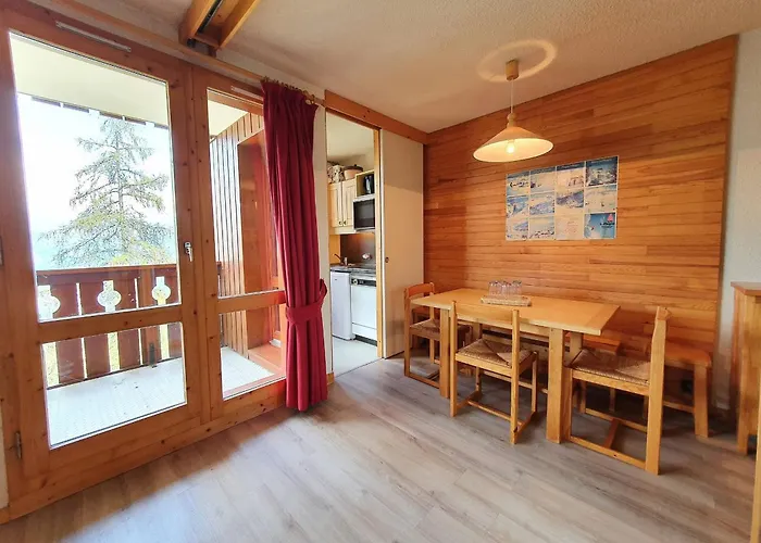 Divisible Pour 4 Pers. A La Plagne, Animaux Acceptes - Fr-1-353-74