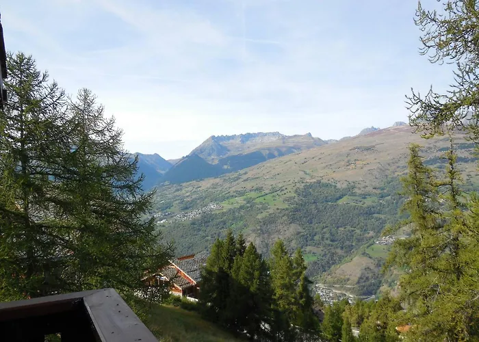 Divisible Pour 4 Pers. A La Plagne, Animaux Acceptes - Fr-1-353-74 Апартаменты Ла-Плань